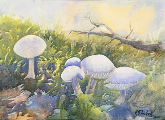 Original art work - large