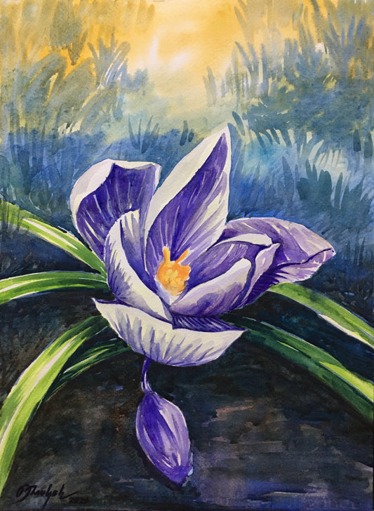 Purple Crocus (Canvas Print 8x12)